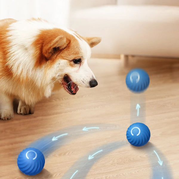 ZoomieBall™