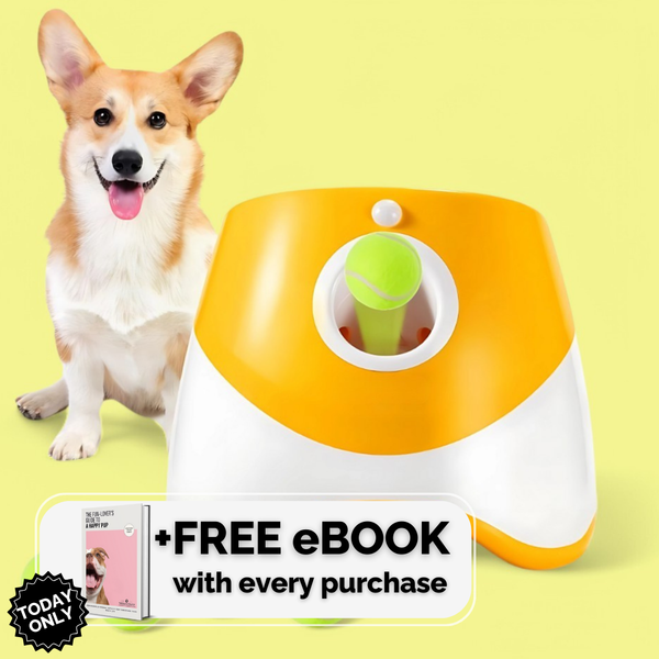 Fetch-o-Matic™