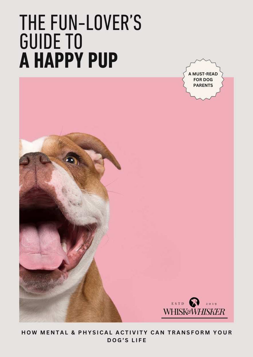 The Ultimate Guide to Dog Play:  eBook