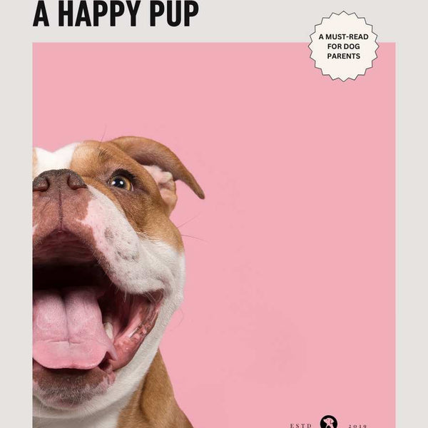 The Ultimate Guide to Dog Play:  eBook