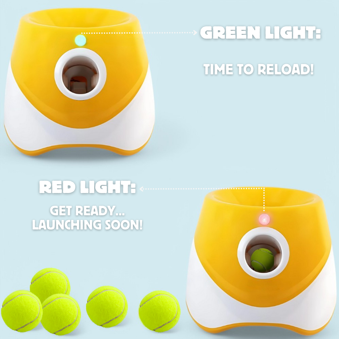Fetch-o-Matic™