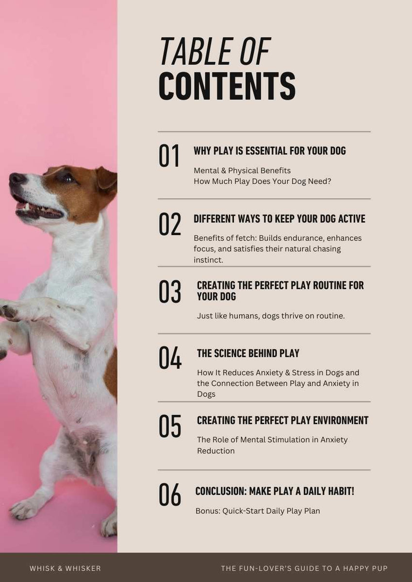 The Ultimate Guide to Dog Play:  eBook