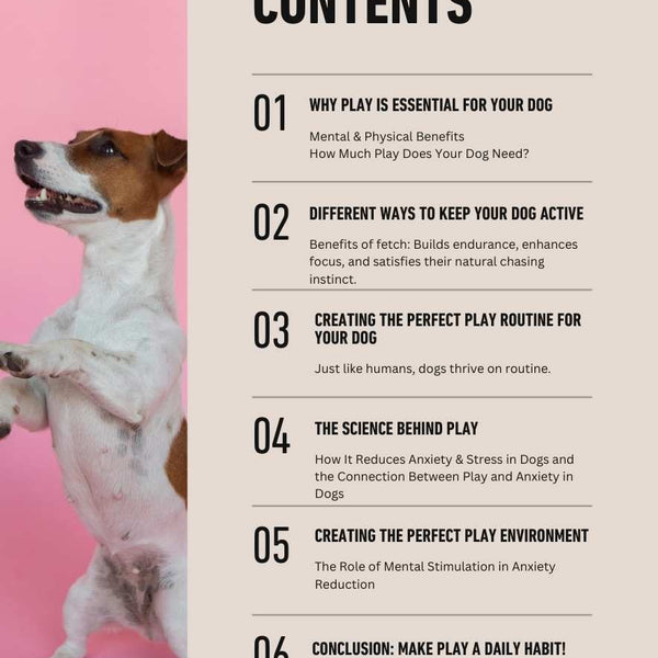 The Ultimate Guide to Dog Play:  eBook