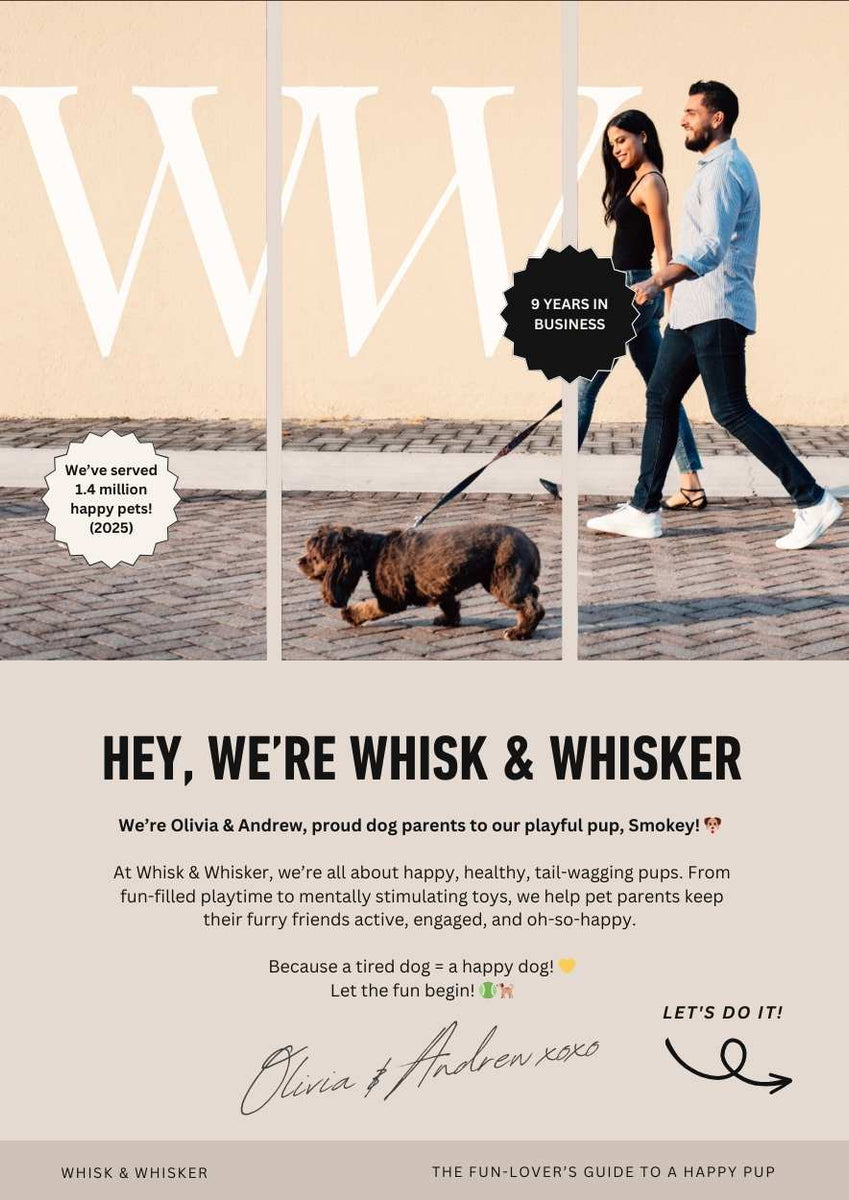 The Ultimate Guide to Dog Play:  eBook
