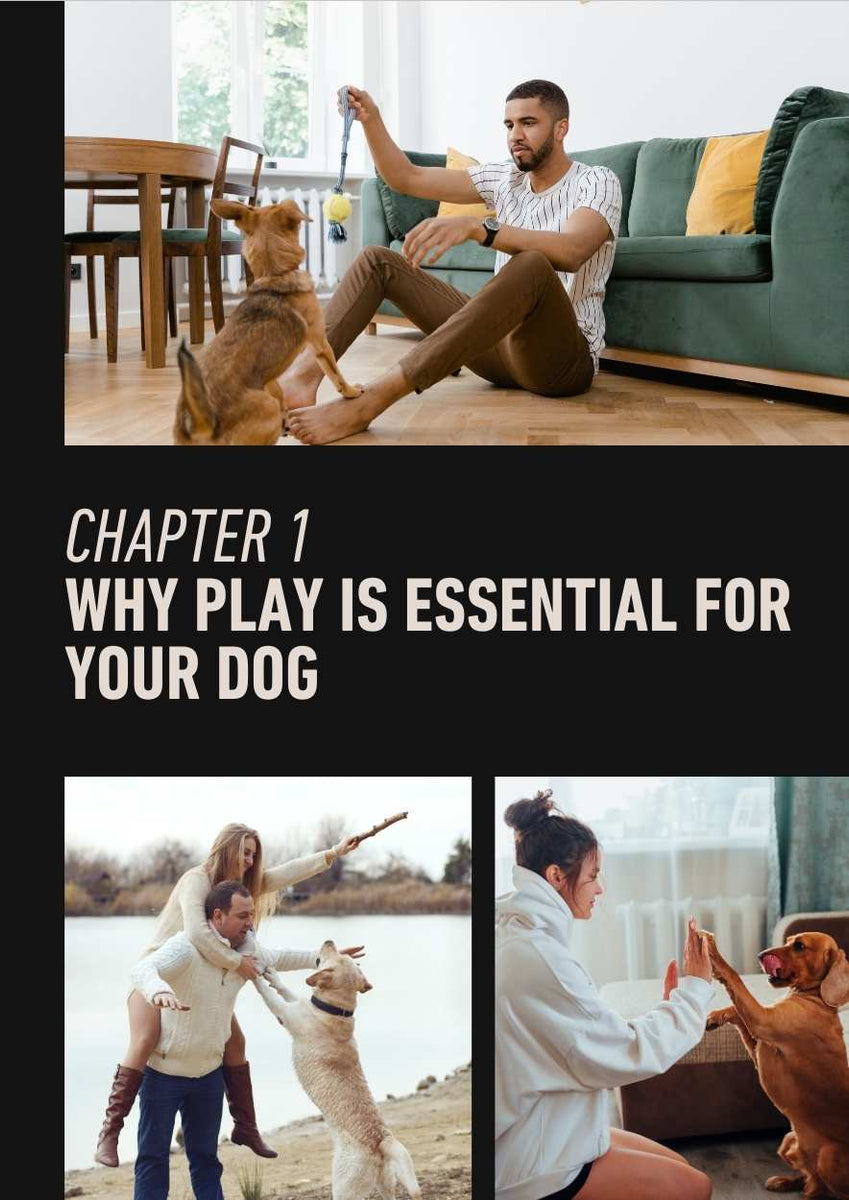 The Ultimate Guide to Dog Play:  eBook