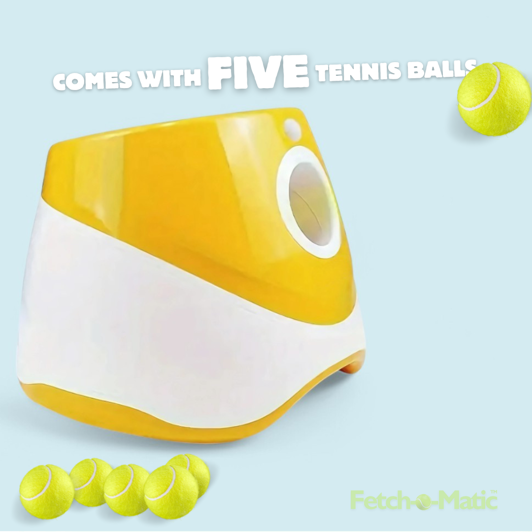 Fetch-o-Matic™