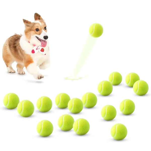 Fetch-o-Matic Tennis Balls