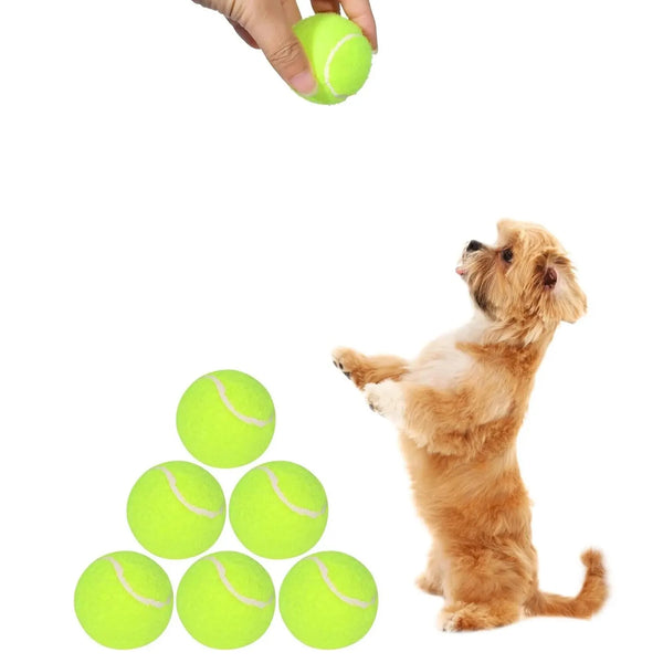 Fetch-o-Matic Tennis Balls