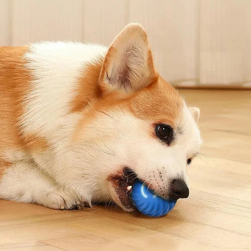 ZoomieBall™