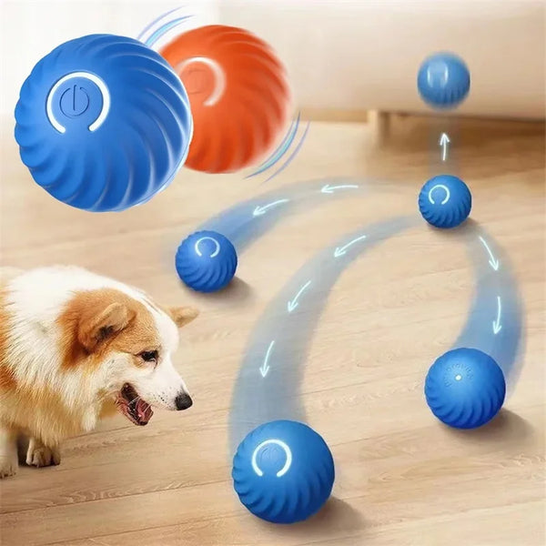 ZoomieBall™