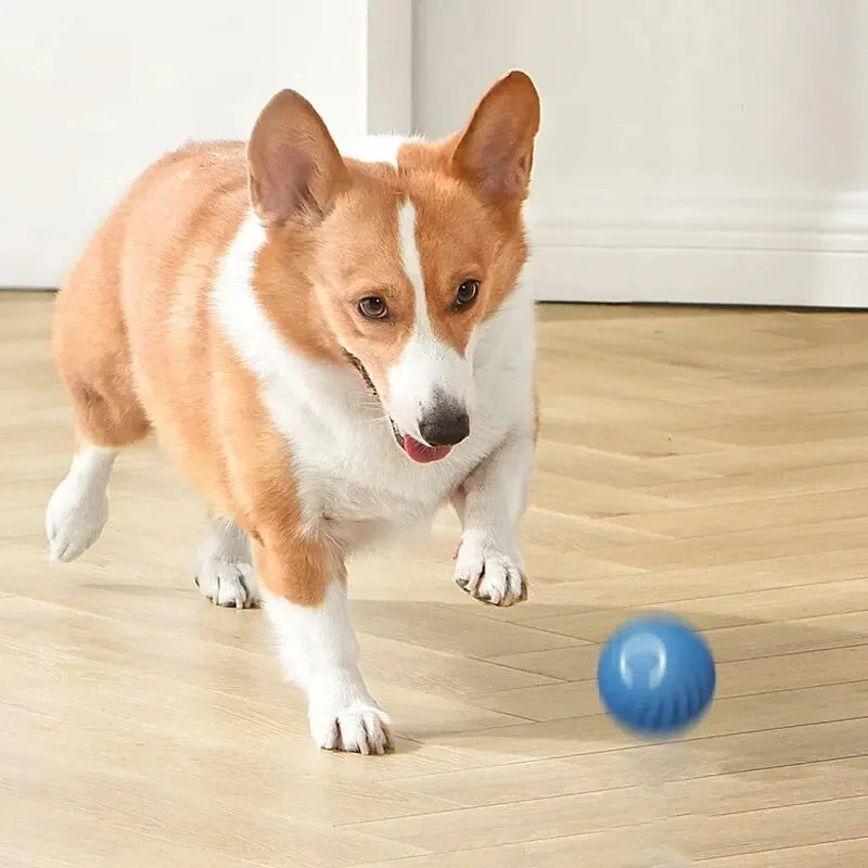 ZoomieBall™