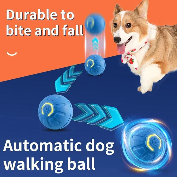 ZoomieBall™