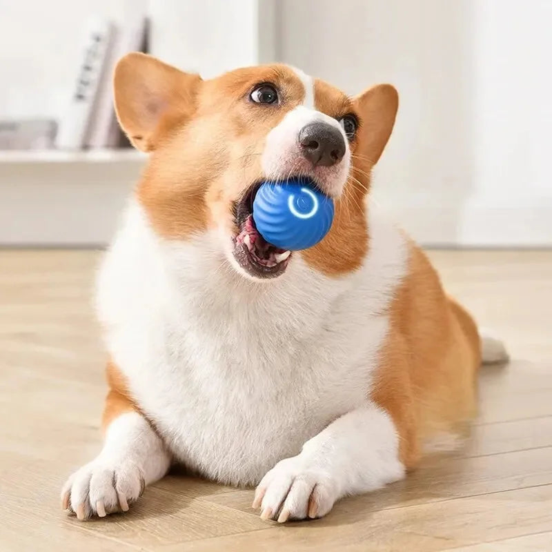 ZoomieBall™