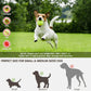 Automatic Ball Launcher Throwing Machine Dog Toys Interactive Tennis Pet Thrower