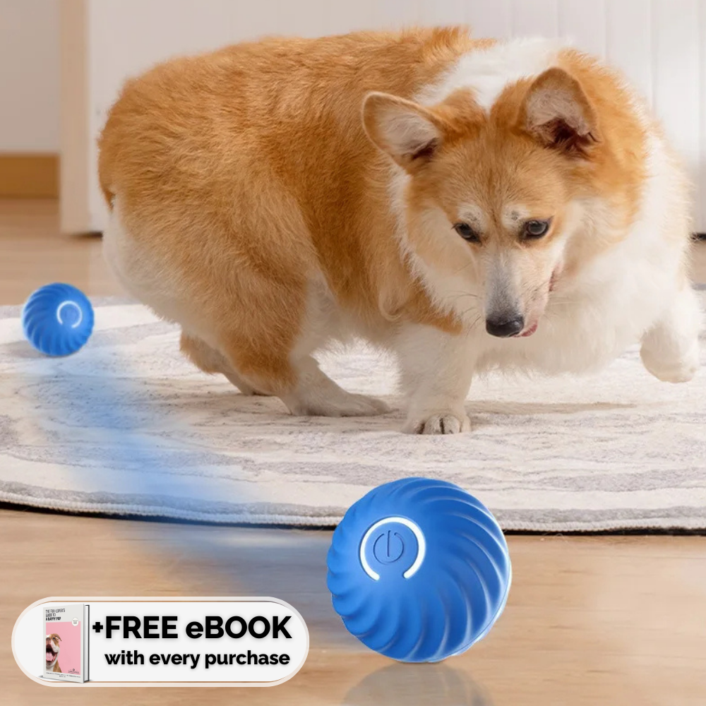 ZoomieBall™