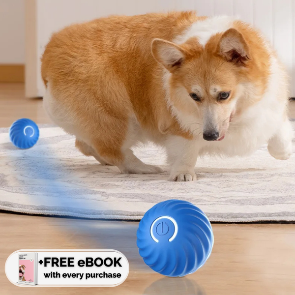 ZoomieBall™